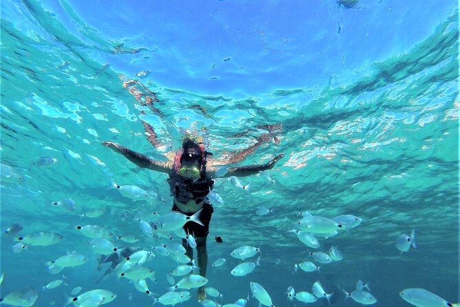 Ibiza Snorkeling Beach and Cave Tour - Key Highlights at a Glance