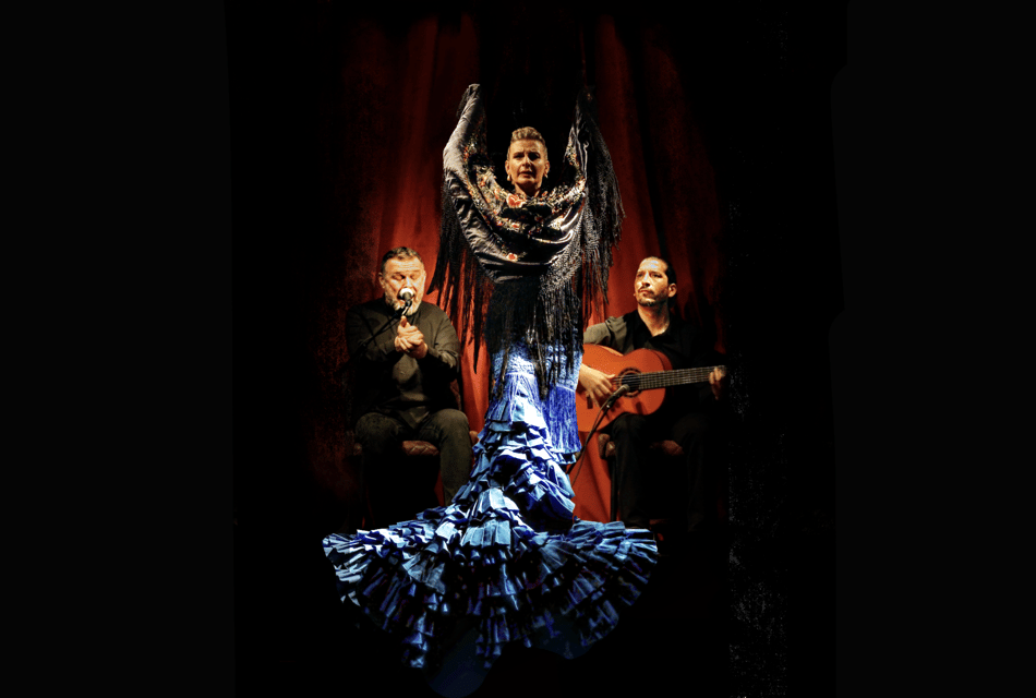Intimate Authentic Flamenco Show in Barcelona at Casa Sors - The guided guitar museum: how it adds meaning to what you just heard