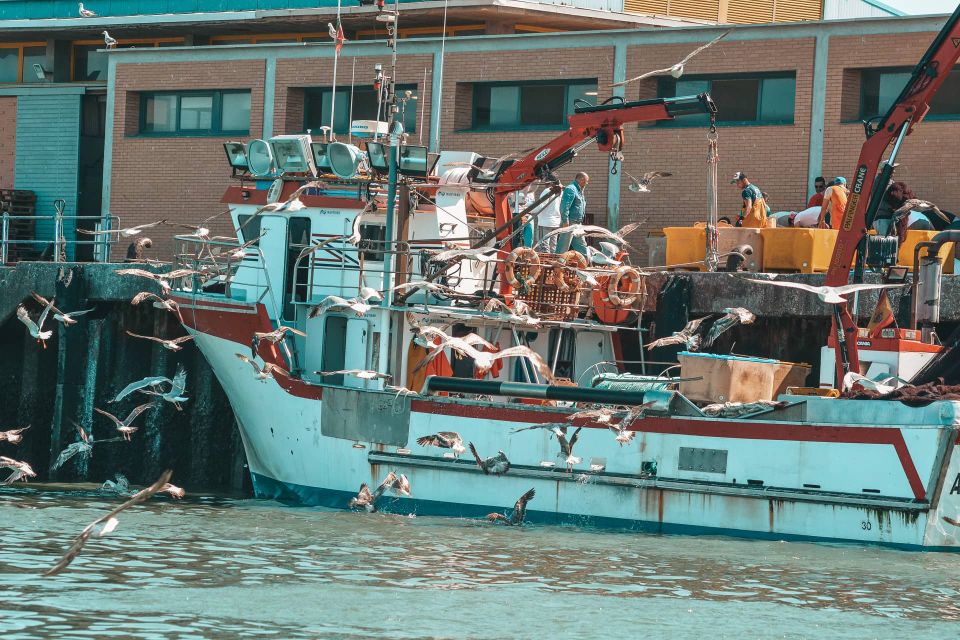 Isla Cristina/Isla Canela: Boat Trip Through the Marshes - Port Time: Watching the Second-Most Active Fishing Port in Action