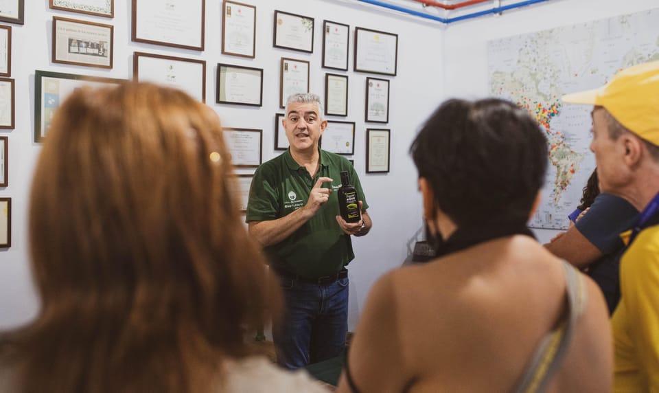 Jaén: Guided Olive Mill Tour with Olive Oil Tasting - Why a guided mill tour in Jaén beats a museum every time