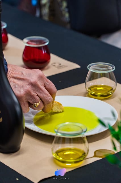 Jaén: Guided Olive Mill Tour with Olive Oil Tasting - Old vs new milling: the details that help you taste better