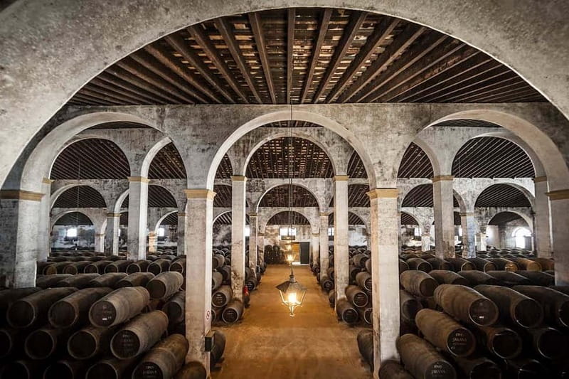 Jerez: 1.5-Hour Sherry Winery and Tasting Tour - Why Jerez sherry culture matters (and why this bodega is a smart choice)