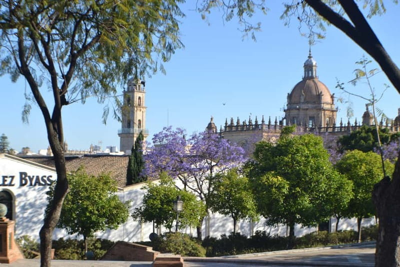 Jerez: 1.5-Hour Sherry Winery and Tasting Tour - Practical value: who this tour suits best (and who should skip it)