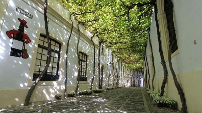 Jerez: 1.5-Hour Sherry Winery and Tasting Tour - Arriving at González Byass: what the 2-hour visit feels like