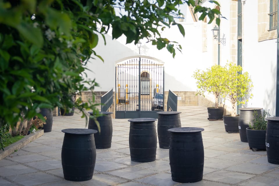 Jerez: Bodegas Álvaro Domecq Guided Tour with Wine Tasting - Key highlights