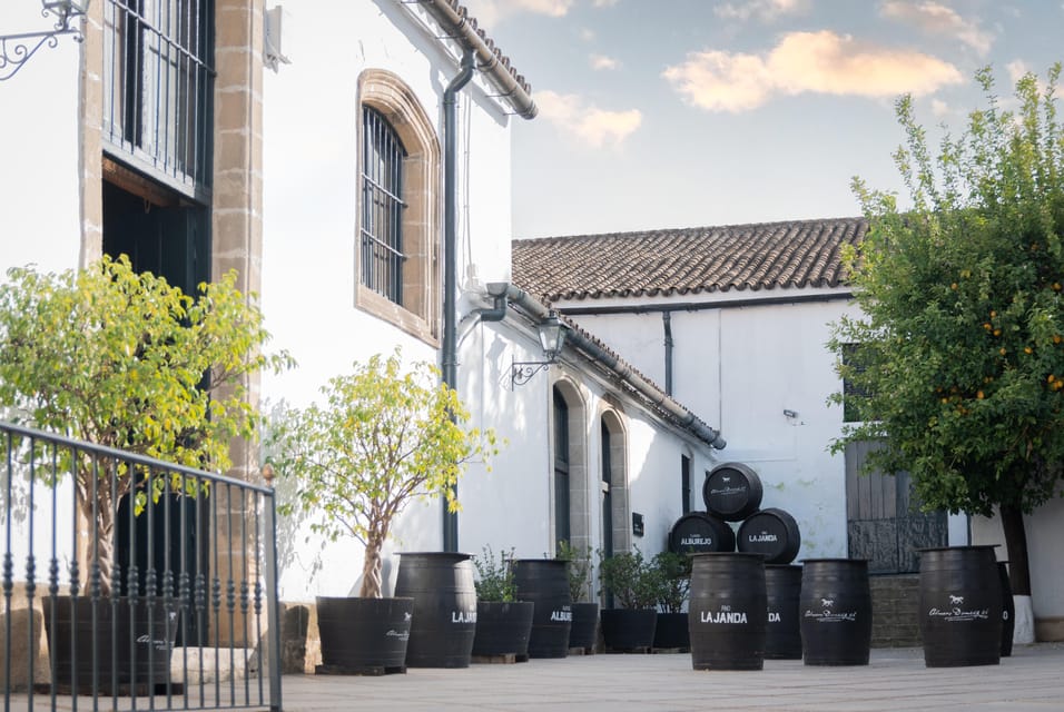 Jerez: Bodegas Álvaro Domecq Guided Tour with Wine Tasting - A centenary Jerez bodega in the middle of the action