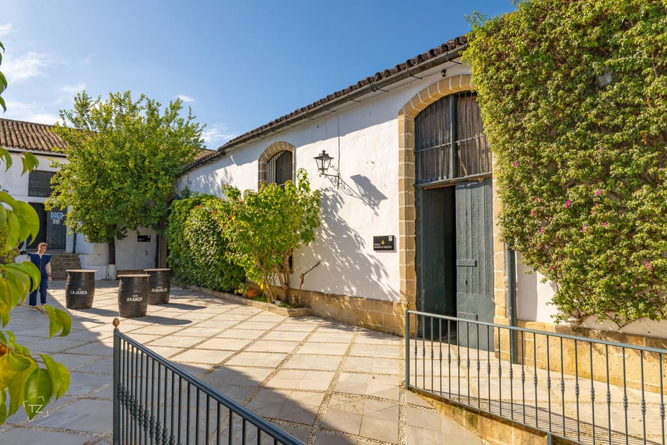 Jerez: Bodegas Álvaro Domecq Guided Tour with Wine Tasting - How the guide handles questions and language