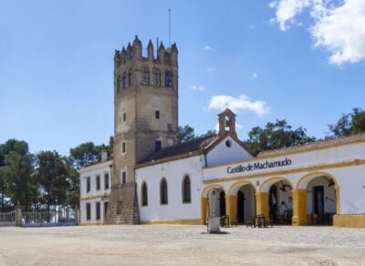 Jerez: Bodegas Fundador Guided Tour with Tasting Session - Museum time: the Fundador story behind the bottles