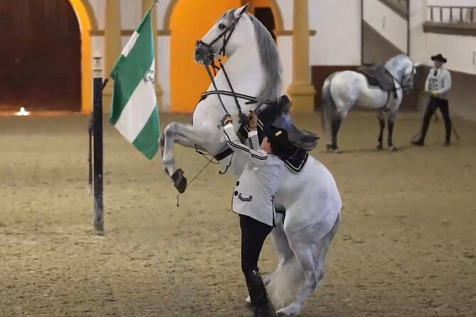 Jerez & Cadiz Winery with Tasting & Opt Horse Show from Seville - Key things I’d plan around