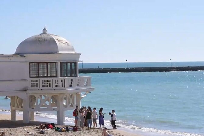 Jerez & Cadiz Winery with Tasting & Opt Horse Show from Seville - A Seville Day Trip That Mixes Sips and Spurs