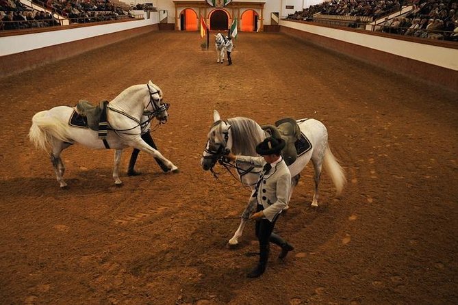 Jerez & Cadiz Winery with Tasting & Opt Horse Show from Seville - Guides and Drivers: The Difference Between a Trip and a Day You Talk About