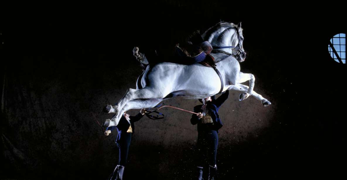 Jerez de la Frontera: Andalusian Horse Dance and Museums - Key things to know before you go
