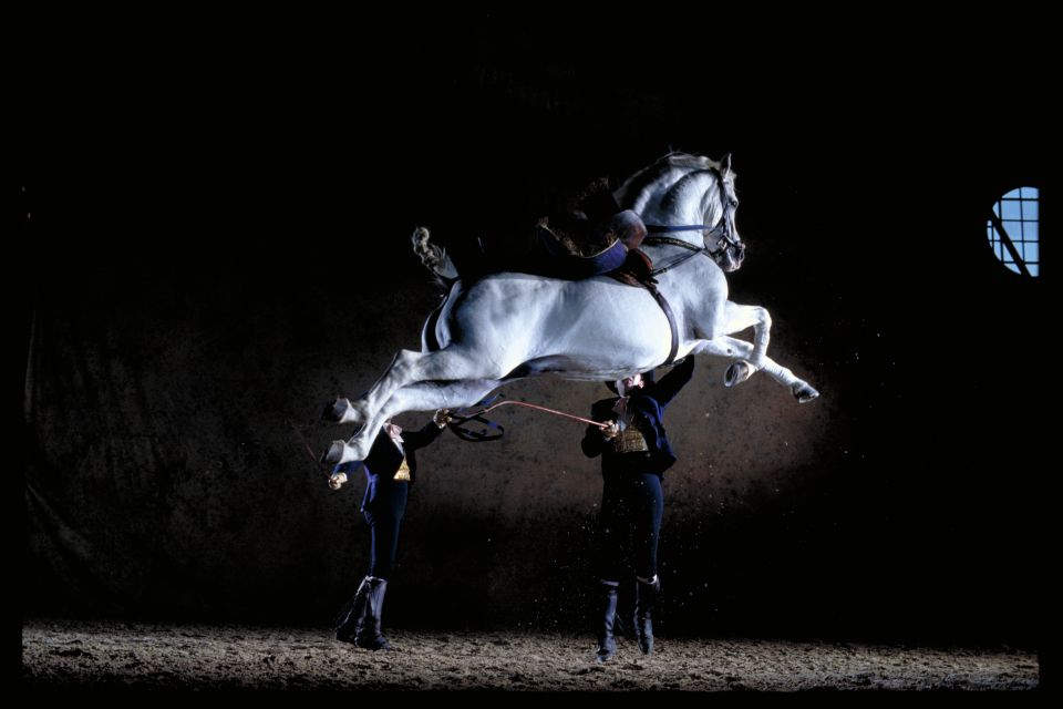 Jerez de la Frontera: Andalusian Horse Dance and Museums - Why Jerez’s horse-ballet show is different from the usual attraction