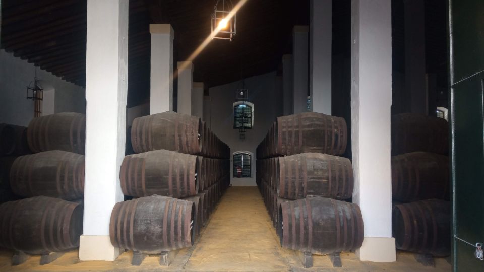 Jerez de la Frontera: Sherry Winery Tour with Tasting - Why a Cayetano del Pino winery visit works so well in Jerez