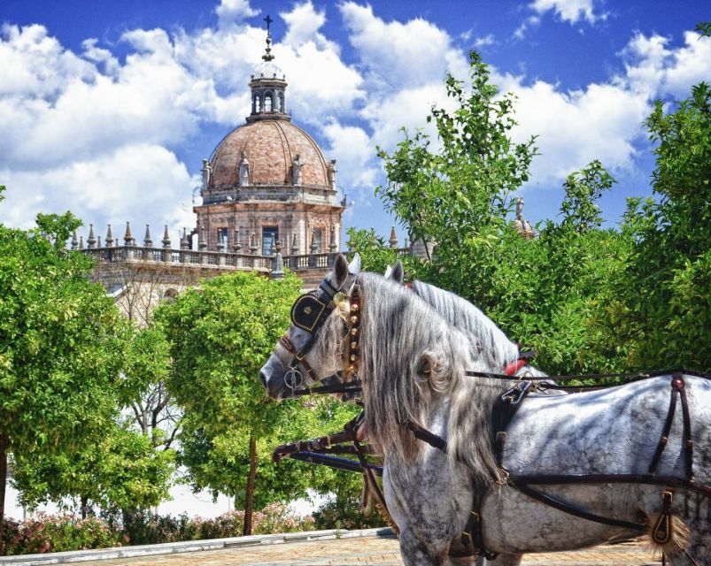 Jerez: Historic Center Guided Tour - Why Jerez’s historic center is about more than sherry