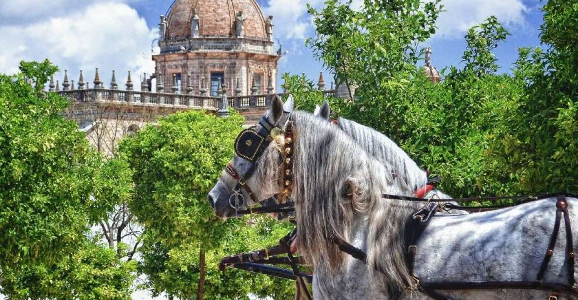 Jerez: Historic Center Guided Tour - Alcázar walls, and the Muslim-Christian neighborhoods lesson