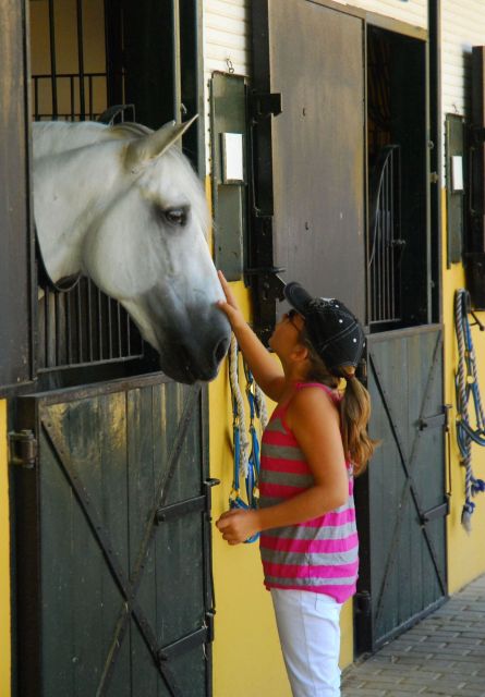 Jerez: Yeguada de la Cartuja Carthusian Horses Tour - Should you book the Yeguada de la Cartuja horses tour?