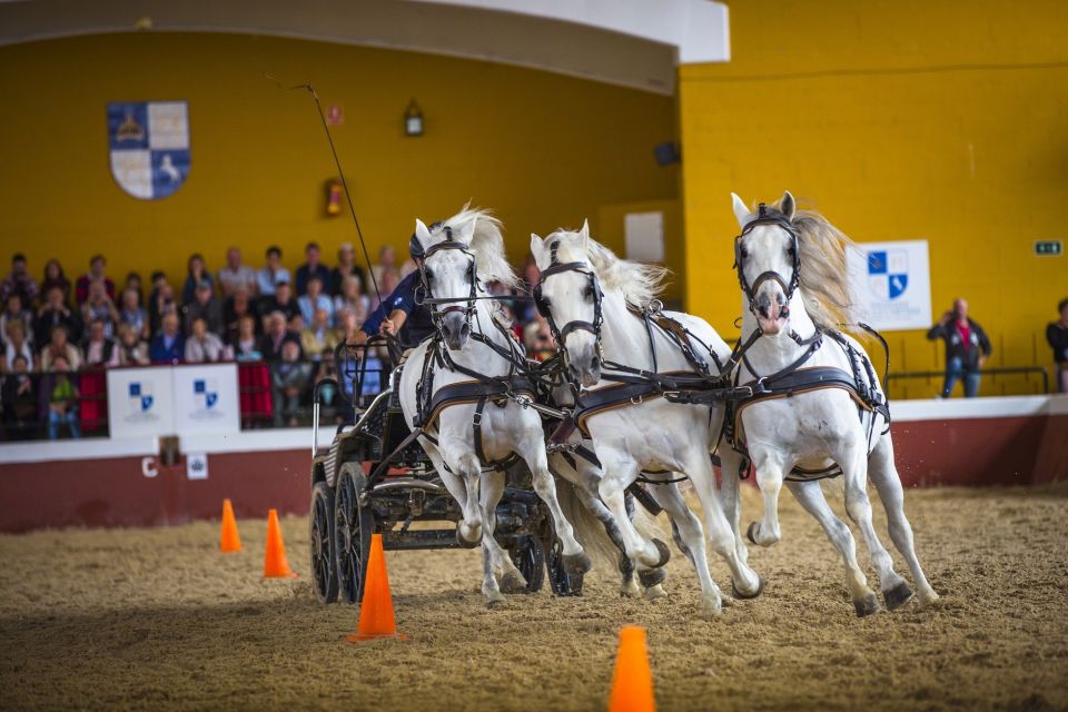 Jerez: Yeguada de la Cartuja Carthusian Horses Tour - The arena show: dressage, the foals, and why it works