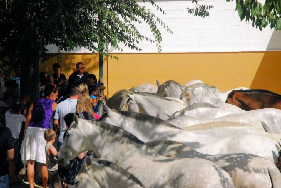 Jerez: Yeguada de la Cartuja Carthusian Horses Tour - What the experience feels like on the ground
