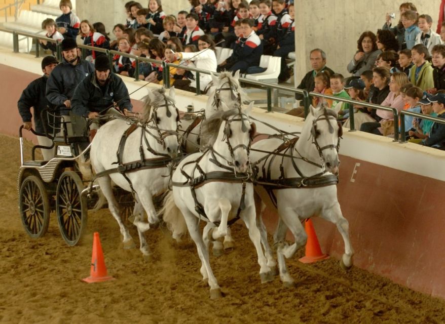 Jerez: Yeguada de la Cartuja Carthusian Horses Tour - Practical tips: shoes, masks, and show rules