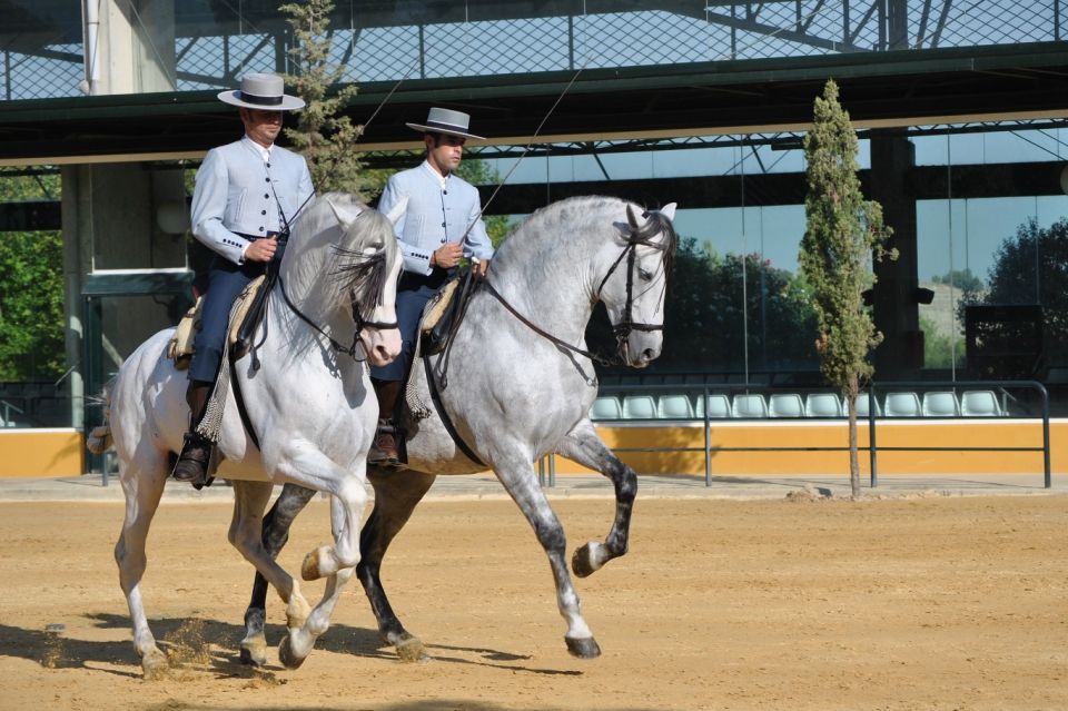 Jerez: Yeguada de la Cartuja Carthusian Horses Tour - Who should book this Jerez horse tour?