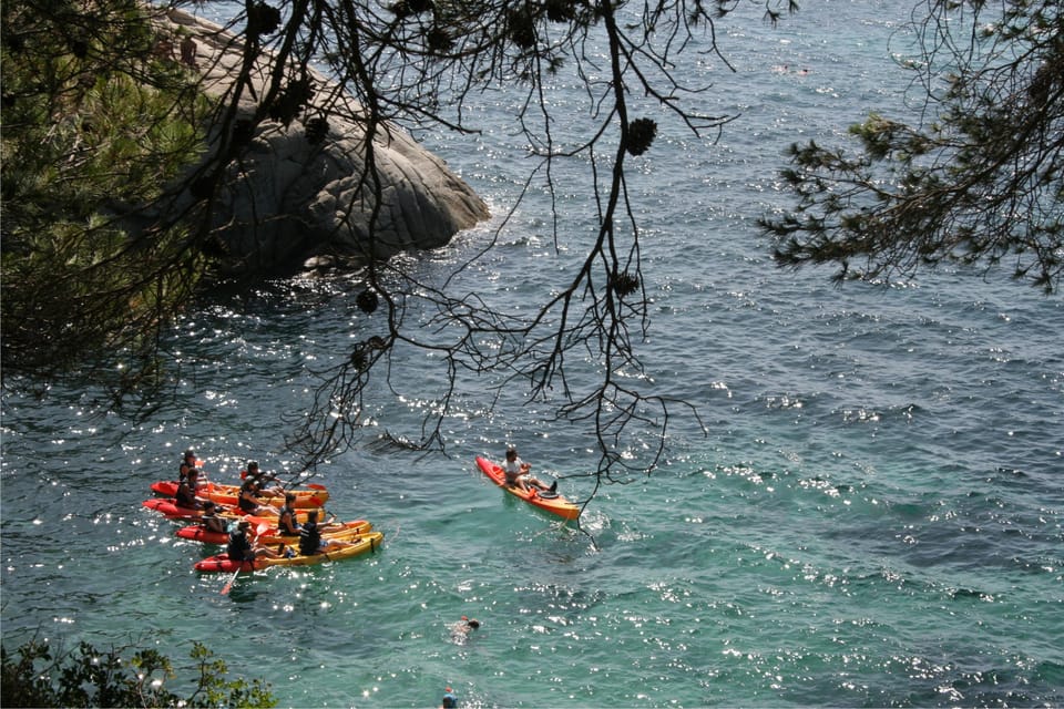 Kayak and Snorkel in Playa de Aro, Costa Brava - Snorkeling in Costa Brava: what you might see and how to do it responsibly