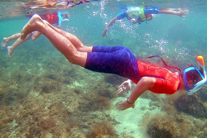 Kayak excursion in Playa de Aro - Who Should Book This Kayak and Snorkel Tour