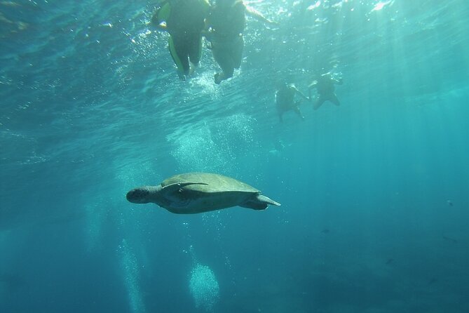 Kayak Route along the Volcanic Coast in Tenerife South with Snorkeling - Time on the clock: a 2.5-hour adventure you’ll feel