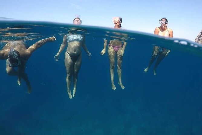 Kayak Safari with Dolphin and Turtle Watching in Guaza - Price and value: is $45.97 a good deal?