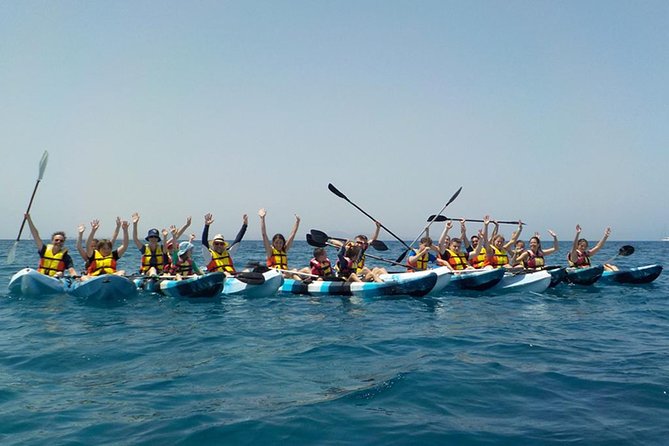 Kayak & Snorkelling in Papagayo - Who This Tour Is Best For (And Who Might Want to Think Twice)