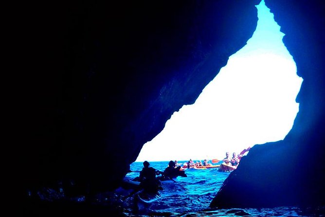 Kayak Tour in the Marine Reserve ! - Key Things to Know Before You Paddle
