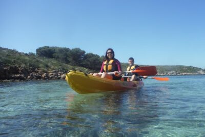 Kayak Tour in the Marine Reserve ! - Price and Value for a 3-Hour Half-Day