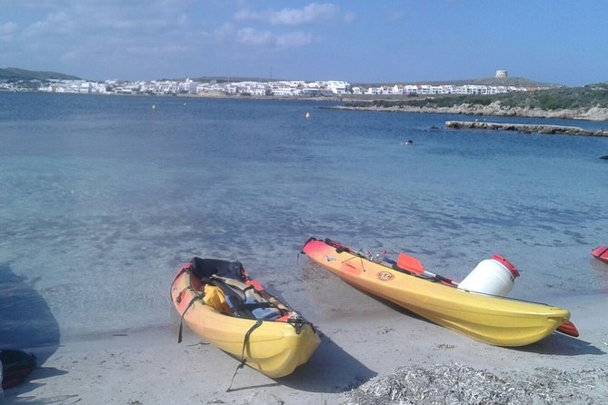 Kayak Tour in the Marine Reserve ! - Snorkeling Time: Making It Worth Your Energy
