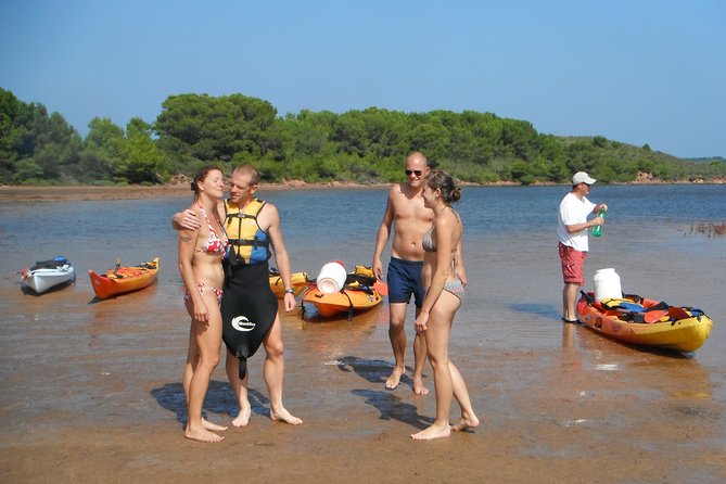Kayak Tour in the Marine Reserve ! - Wildlife and the Real Nature Moments