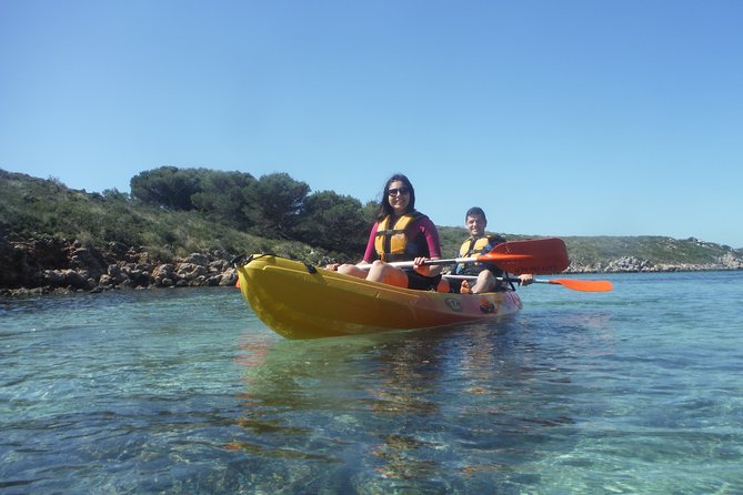 Kayak Tour in the Marine Reserve ! - Price and Value for a 3-Hour Half-Day