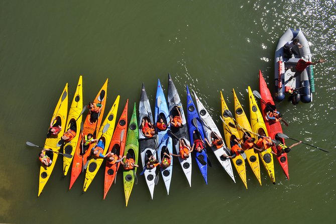 Kayak Tour or Seville Rental - Why this Seville kayak setup feels different