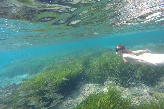 Kayak y snorkell por las mejores calas del Parque Natural Cabo de Gata - Getting ready on land: gear, buoyancy, and beginner confidence