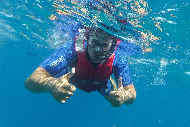 Kayaking and snorkeling - Price and value: what $54.31 gets you in Fuerteventura