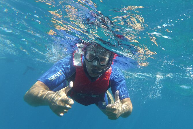 Kayaking + snorkeling with turtles - Who this tour is best for (and who should think twice)