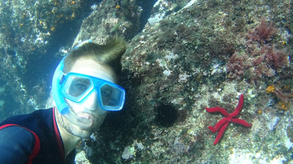 La Herradura: Cerro Gordo Natural Park Kayak & Snorkel Tour - Who should book this Cerro Gordo kayaking and snorkel tour