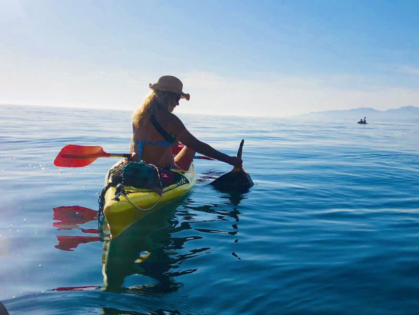 La Herradura: Cerro Gordo Natural Park Kayak & Snorkel Tour - Pacing and comfort: what your body should expect
