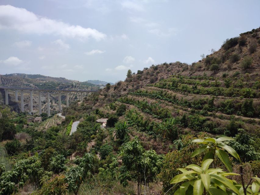 La Herradura Coffee Farm: tour in Europe's only plantation - Key things to notice before you go