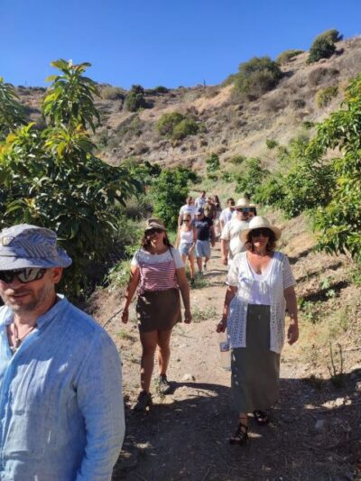 La Herradura Coffee Farm: tour in Europe's only plantation - The 70-Minute Walking Route: What You See and Why It Matters