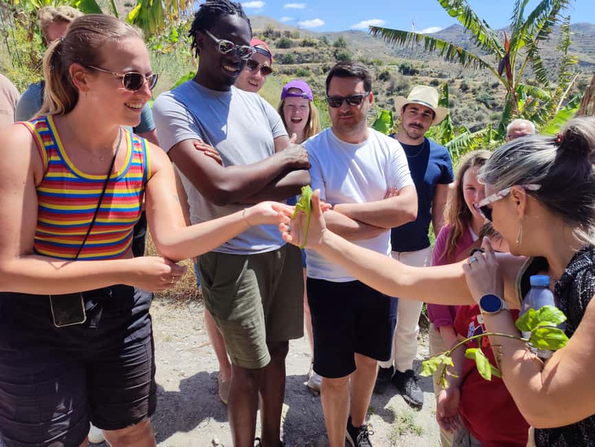La Herradura Coffee Farm: tour in Europe's only plantation - Organic + Permaculture + Water Planning: The Farm’s Real Theme