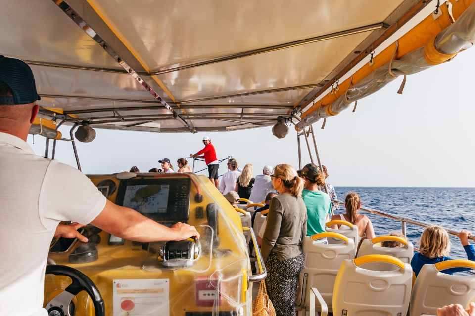 Lanzarote: 2.5-Hour Sunset and Dolphins Cruise - Timing, Weather, and What to Pack for a Cold-At-Sea Evening