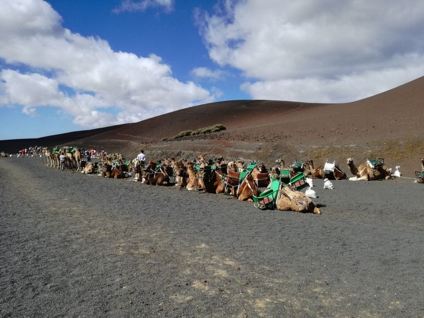 Lanzarote: 5-Hour Timanfaya National Park Southern Tour - Who this tour suits (and who should pick something else)