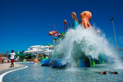 Lanzarote: Aqualava Waterpark Entrance Ticket - Why the Saltwater Wave Pool Is the Real Star