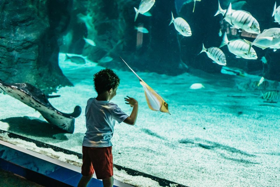 Lanzarote: Aquarium Entry Ticket - Key things I’d plan around