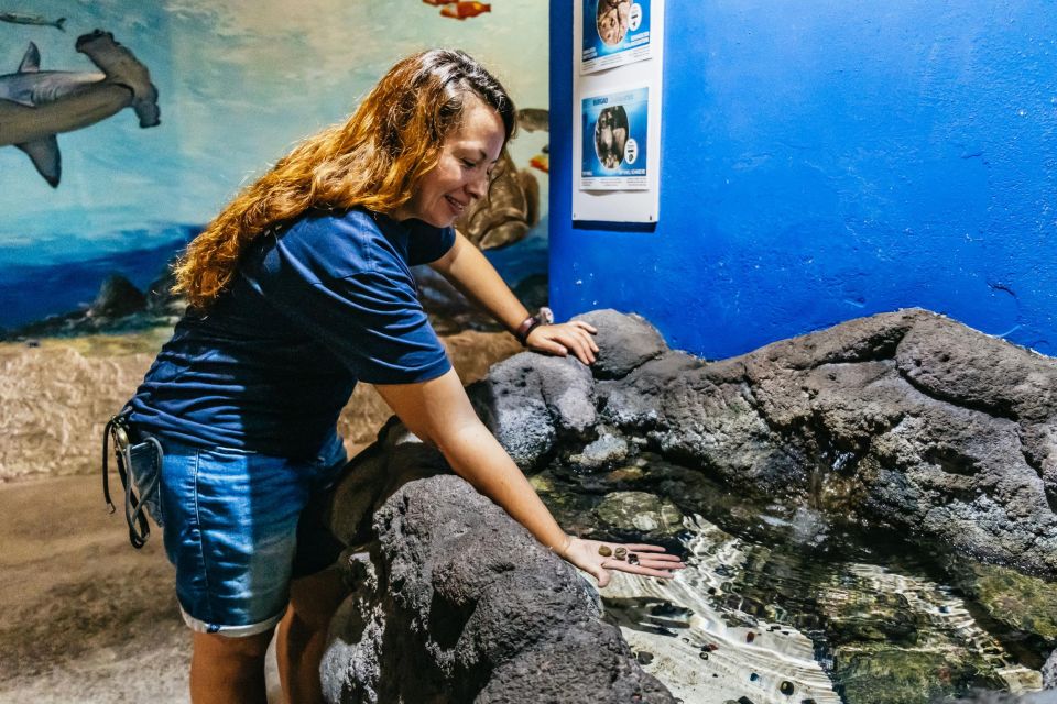 Lanzarote: Aquarium Entry Ticket - Feeding time strategy: how to get the most out of a short visit