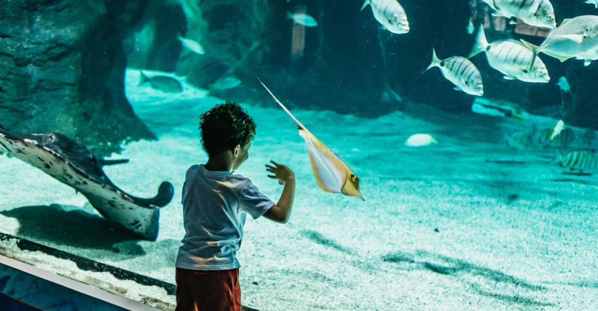 Lanzarote: Aquarium Entry Ticket - How the visit flows: check-in to your first tanks